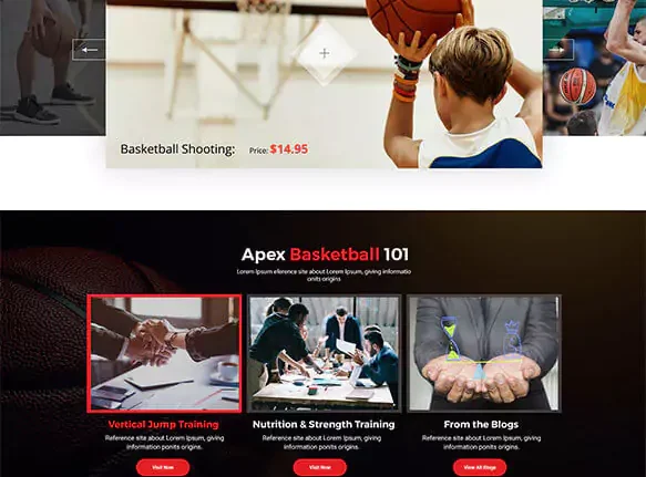 A website design for a basketball team.