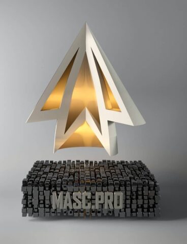 The mass pro award is on top of a block of wood.